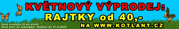 vyp