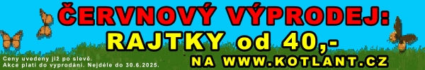 vyp