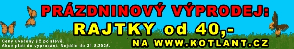 vyp